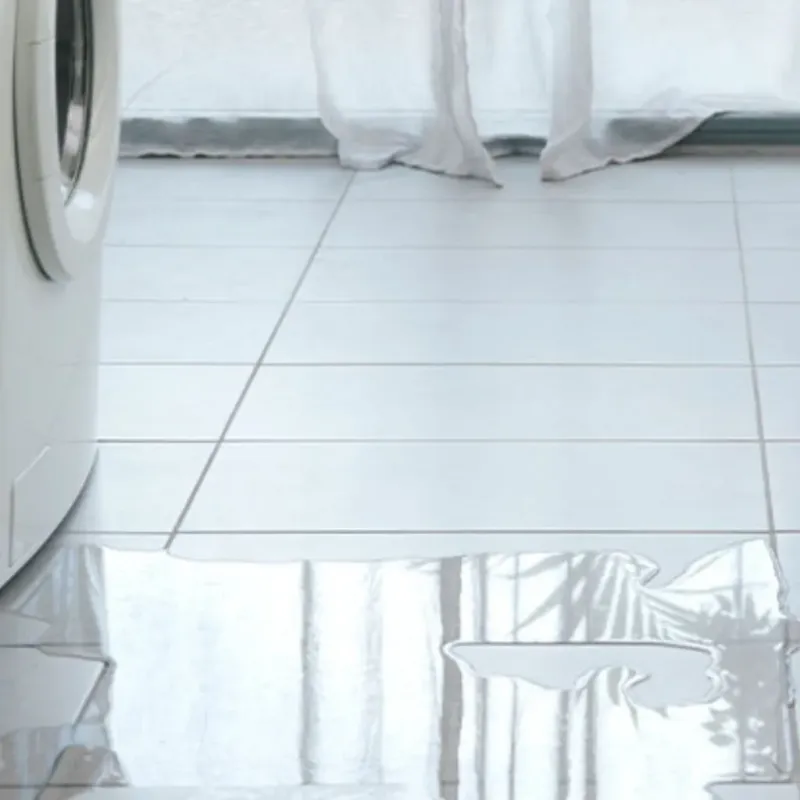 Appliance Leak Cleanup in Ferris, TX