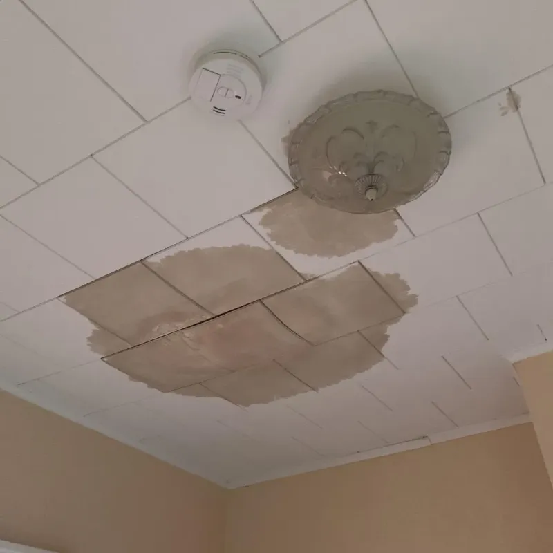 Ceiling Water Damage Repair in Ferris, TX