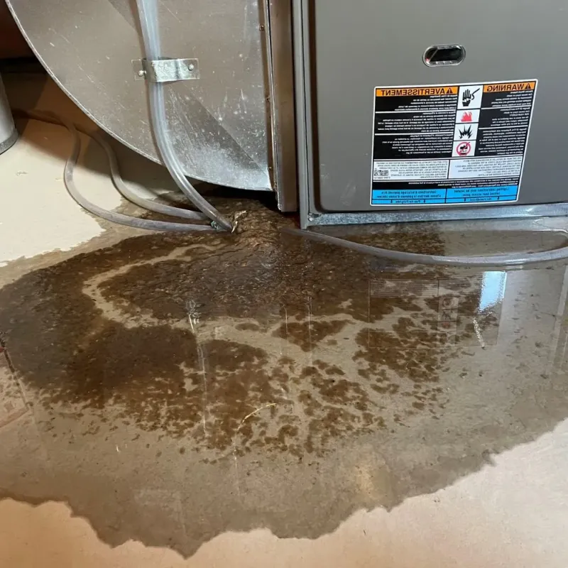 Pipe Burst and Leak Restoration in Ferris, TX