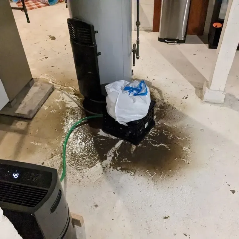 Sewage Backup Cleanup Service in Ferris, TX